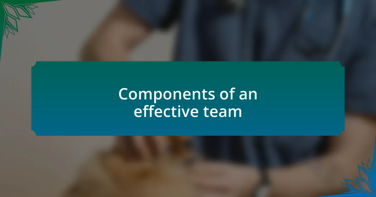 Components of an effective team