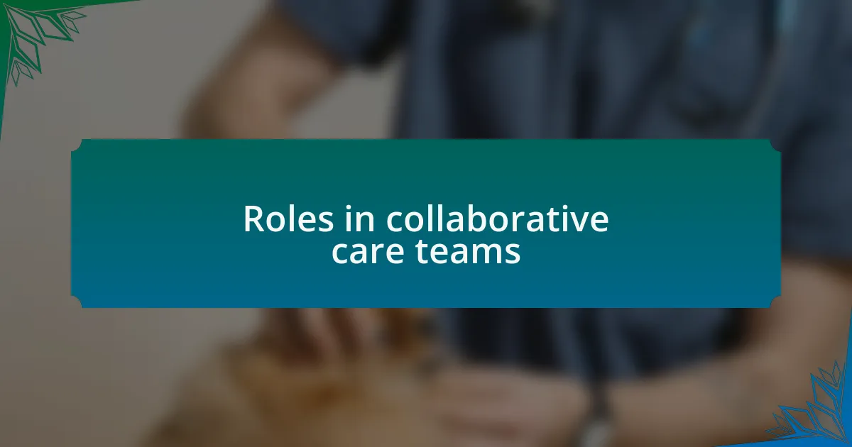 Roles in collaborative care teams