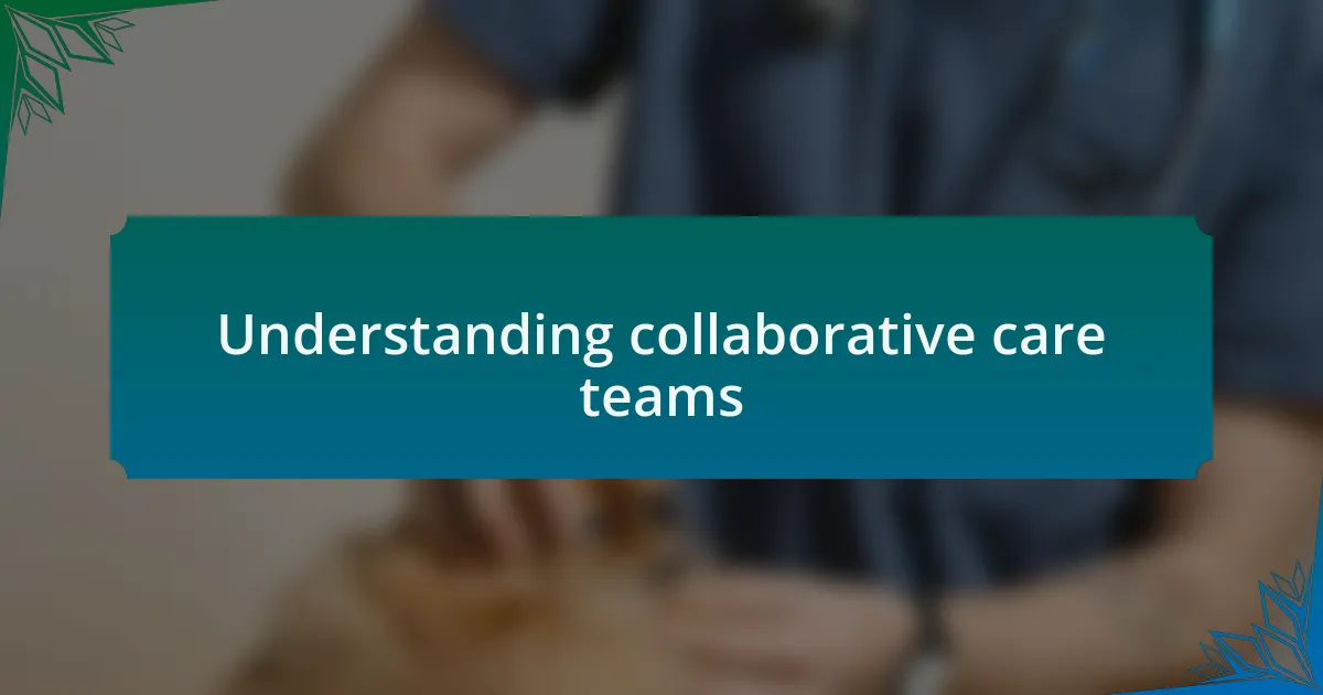 Understanding collaborative care teams